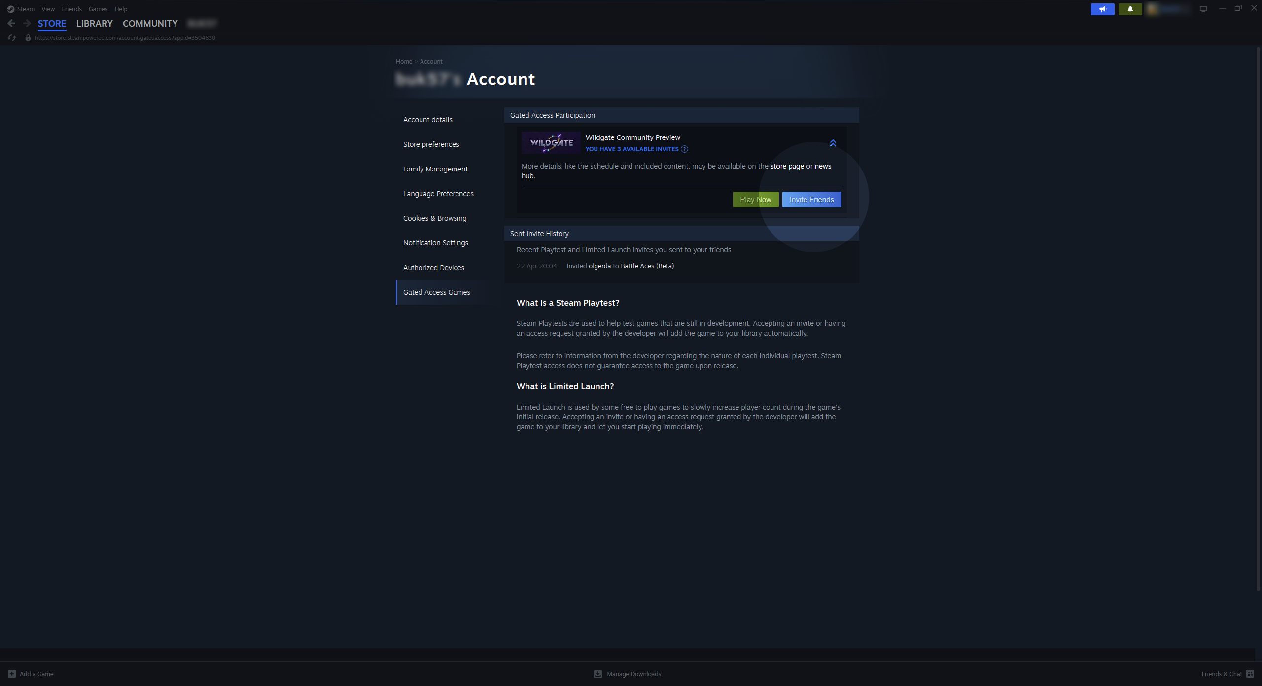 wildgate-steam-friend-invite-3